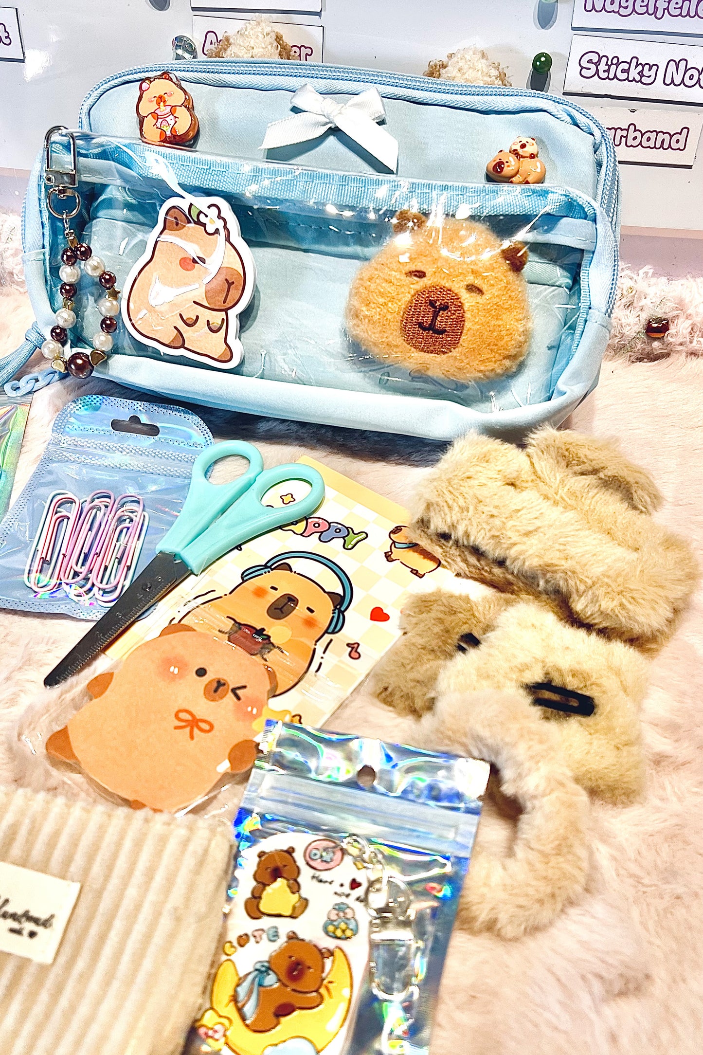 Back2School Paket "Capybara - Blau"