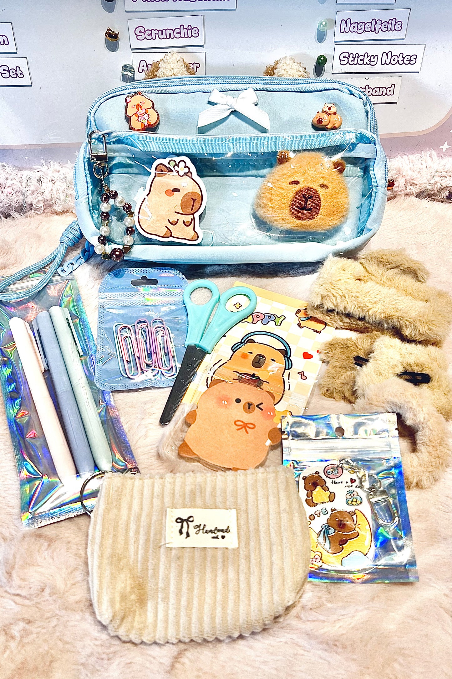 Back2School Paket "Capybara - Blau"