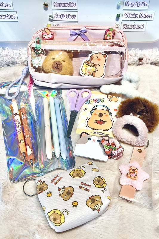 Back2School Paket "Capybara - Rosa"